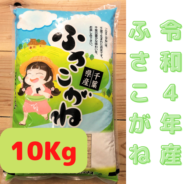 【特売中】新米 20kg 令和4年産ふさこがね 千葉県の美味しい農薬の少ないお米