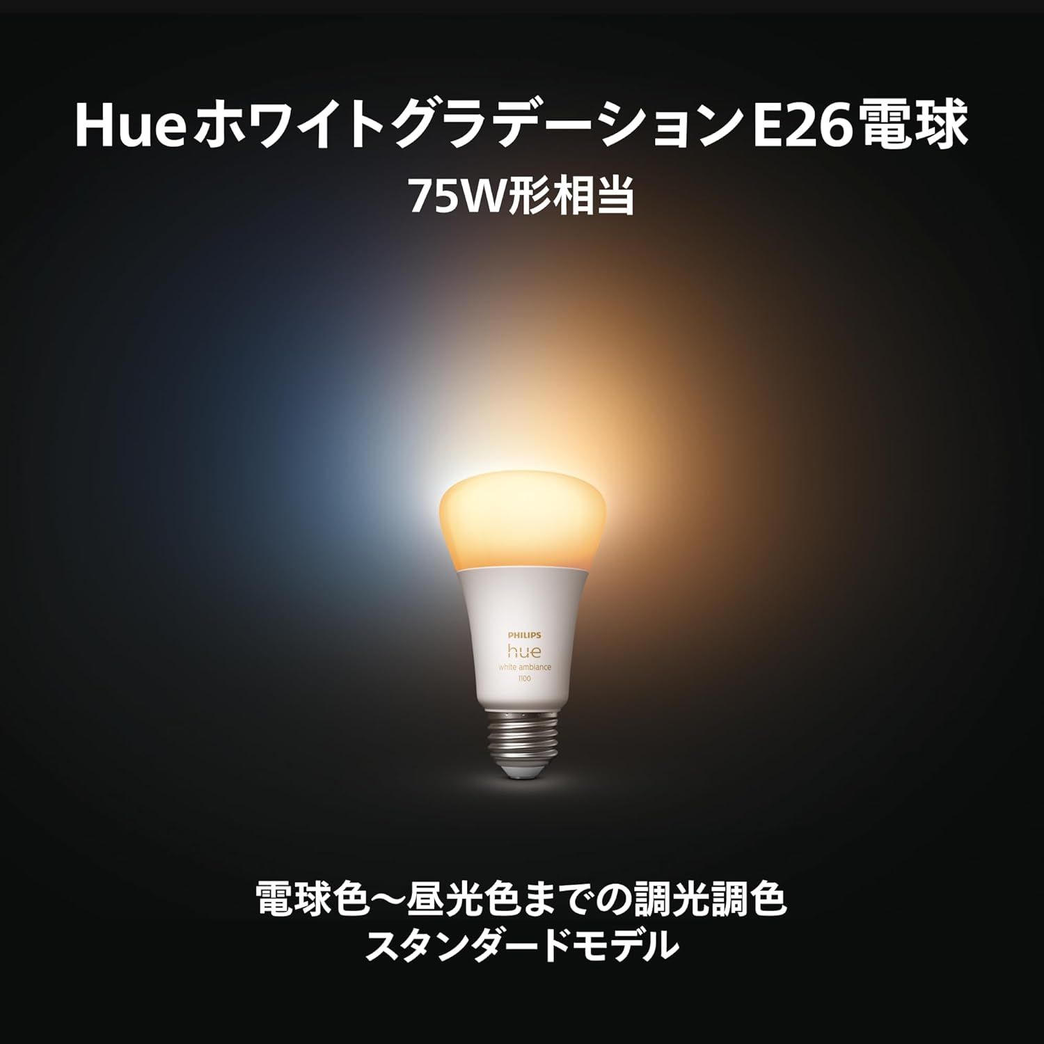 フィリップスヒュー