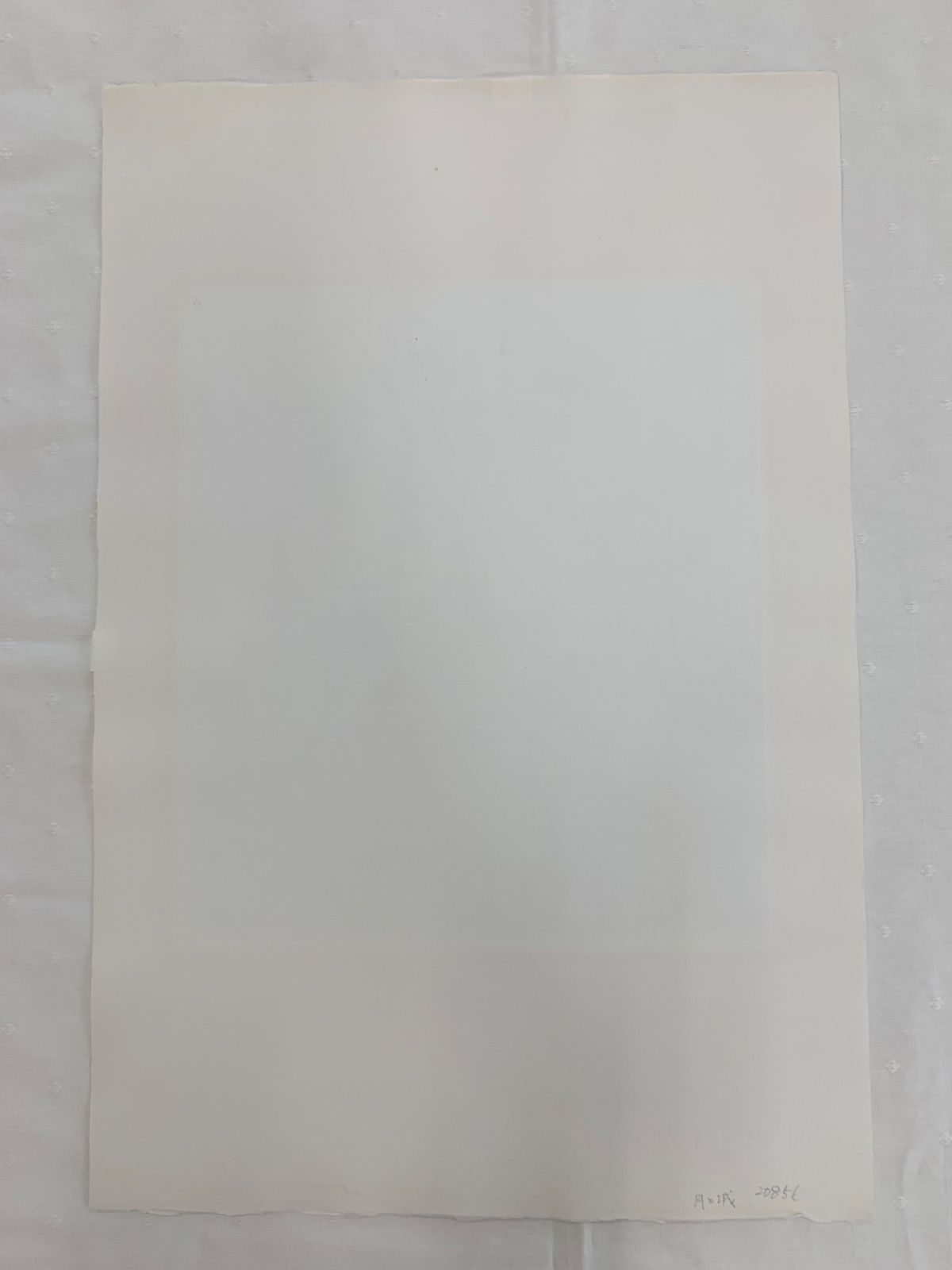 シートのみ 真作 月と城 南桂子 Minami Keiko エッチング サンドペーパー 作家直筆サイン 版画 版画 IMPECCABLEHEALTHCARESERVICES_COM