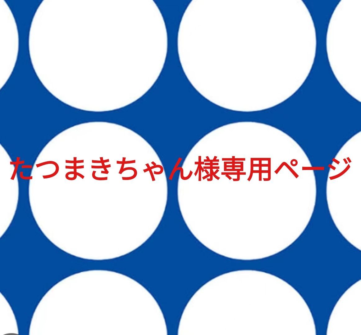 たつまきちゃん様専用ページです。 - メルカリ