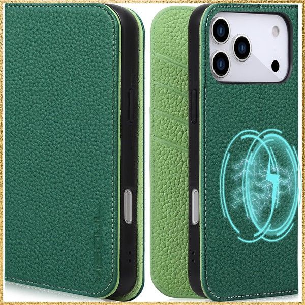 VIANEL NEW YORK iPhone11 ケース レザー グリーン VIANEL NEW YORK