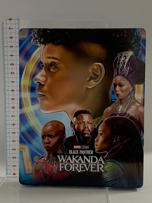 ブラックパンサー ワカンダ フォーエバー 4K UHD MovieNEX スチールブック 4K ULTRA HD 3D ブルーレイ デジタルコピー MovieNEXワールド Blu-ray