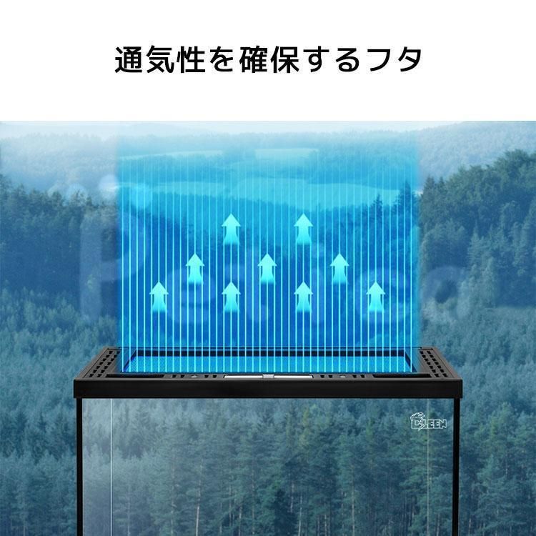 グラステラリウム　900×450 オマケ付き(福岡市) グラステラリウム 900×450 オマケ付き(福岡市)