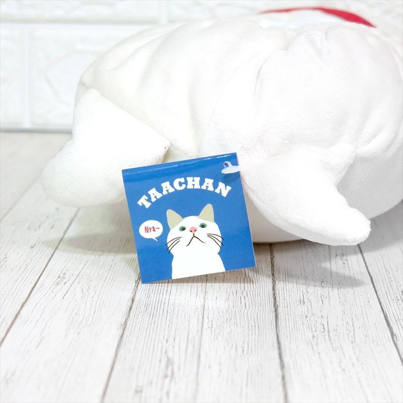 ティッシュボックスケース ネコ 猫 ねこ ターちゃん もちふわ