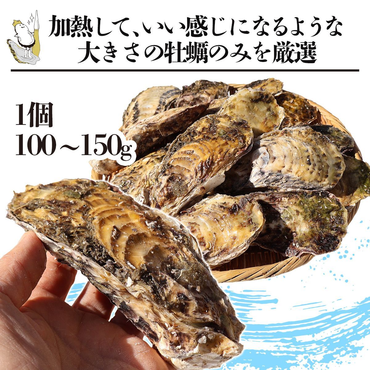 貝類
