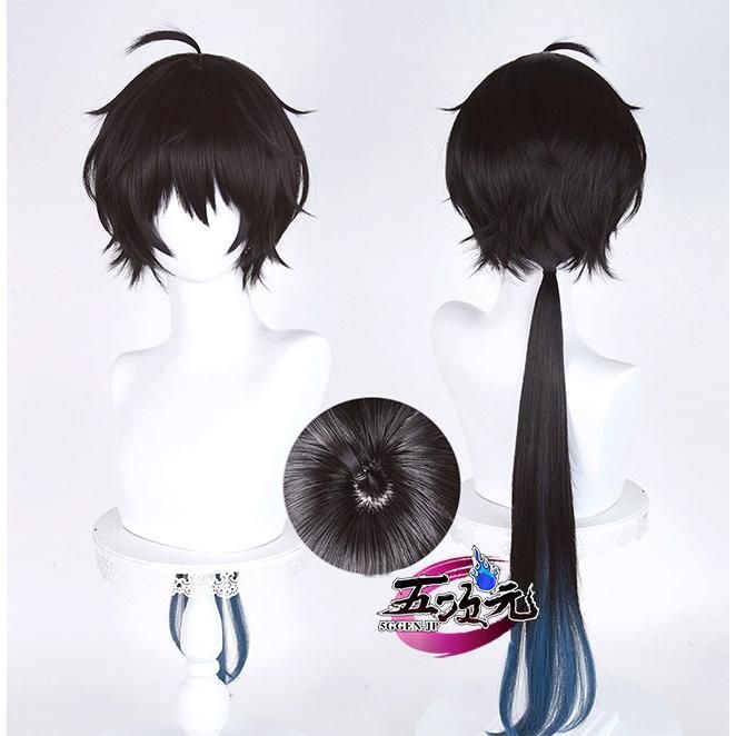 崩壊スターレイル コスプレ 丹恒・騰荒 ウィッグ 三分妄想1/3Delusion