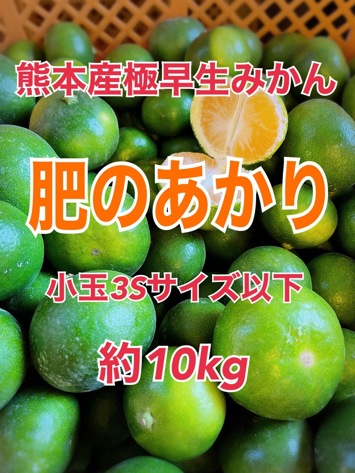 熊本産極早生みかん豊福小玉サイズ10kg - 果物