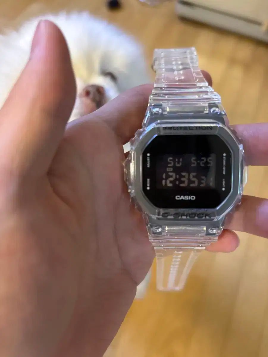 極美品 G-SHOCK DW-5600SK-1JF スケルトン Amazon.co.jp: [カシオ