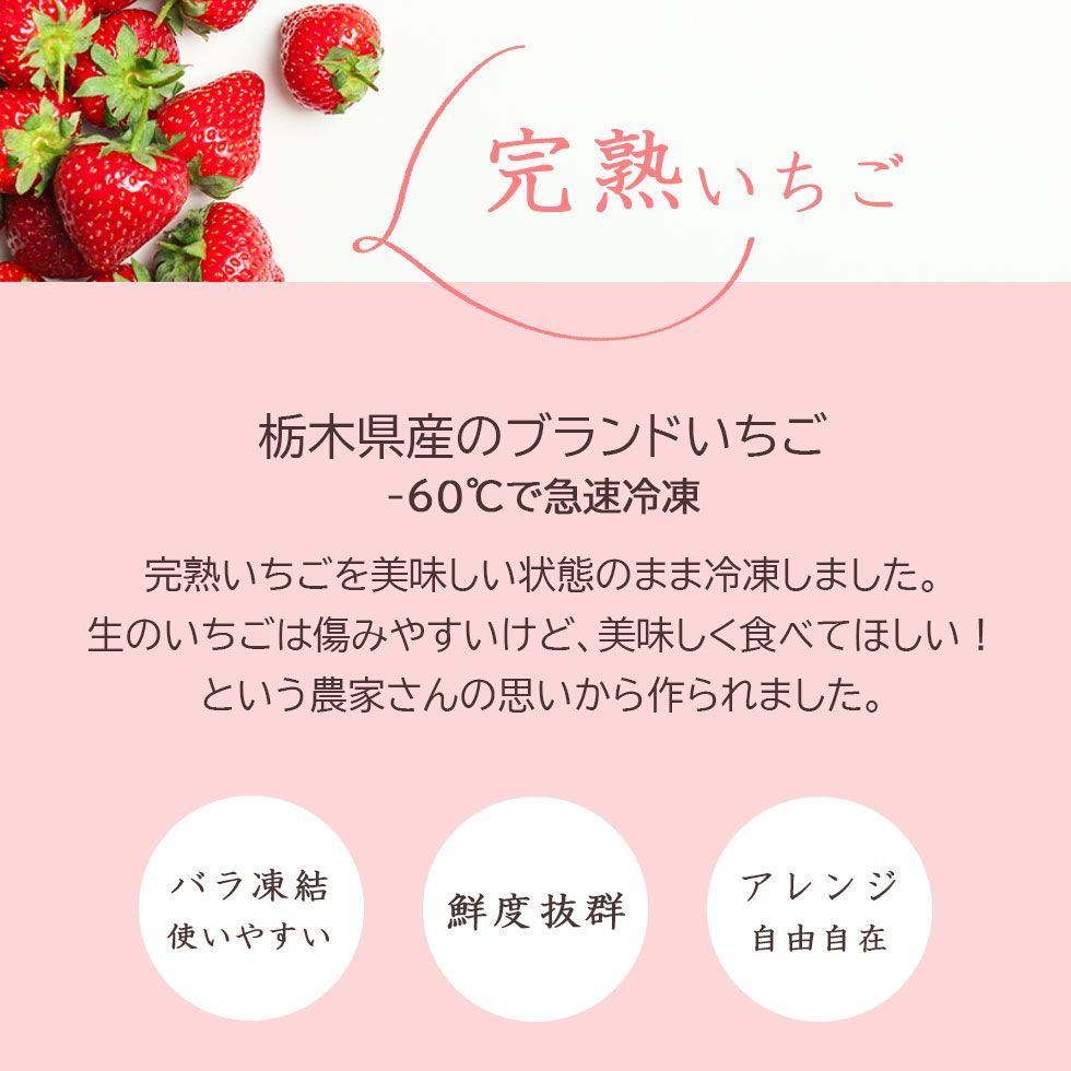 いちご 冷凍 とちおとめ 完熟栃木県産 約1kg【急速冷凍だから鮮度抜群