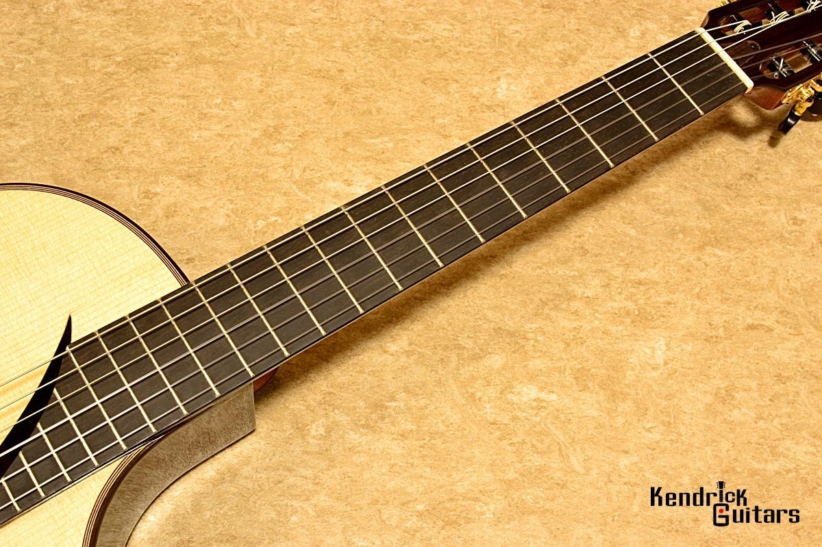 希少】Takamine アンティークエレアコPT05E? （希少名器