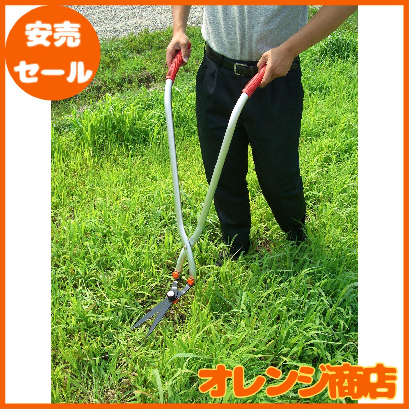 ホシノ