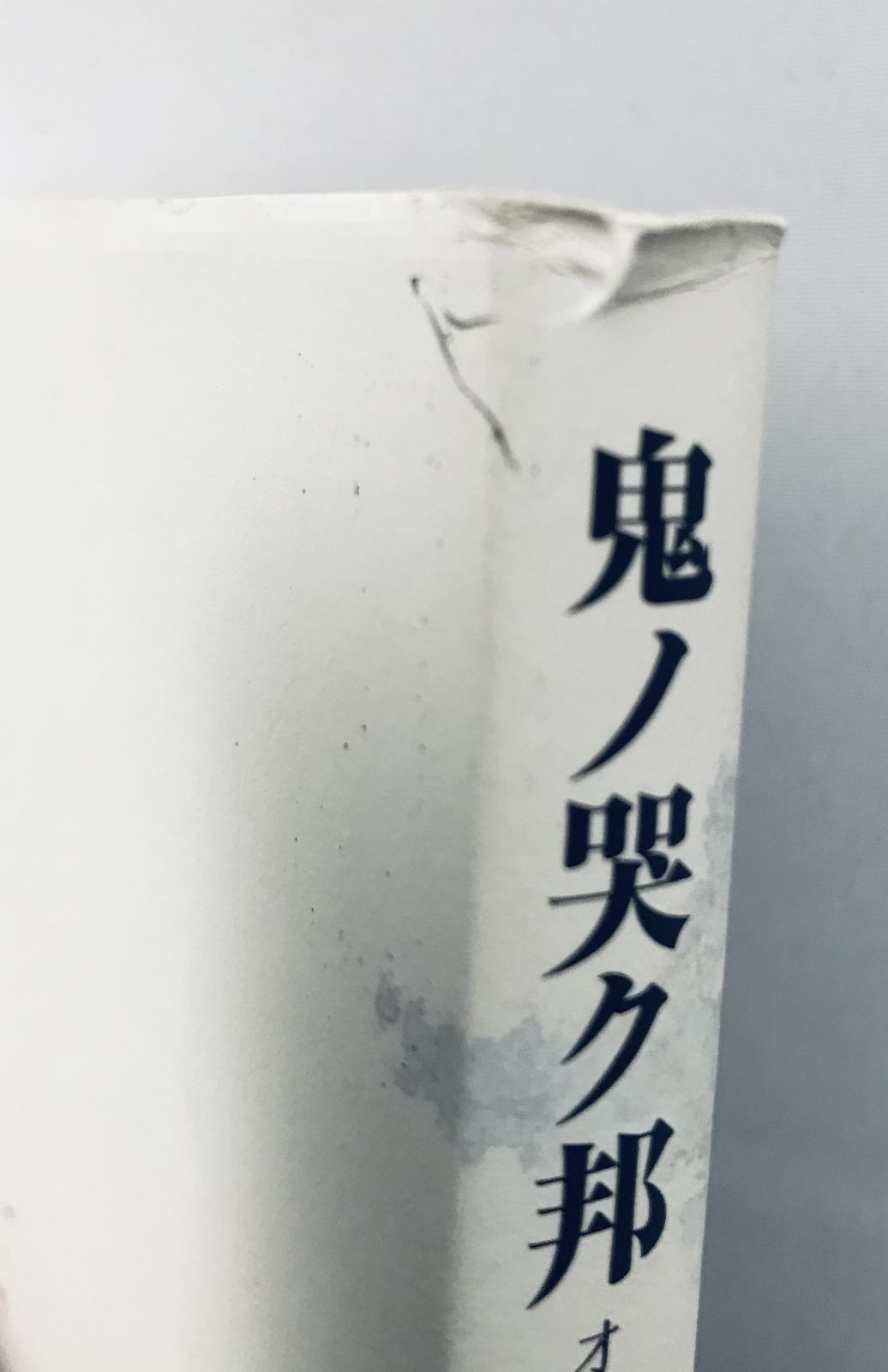 鬼ノ哭ク邦 完全攻略ト設定資料集 生ト死ヲ穿ツ書 攻略本 ガイド Switch 51G1dHyygsL._AC_SY200_QL15_.jpg