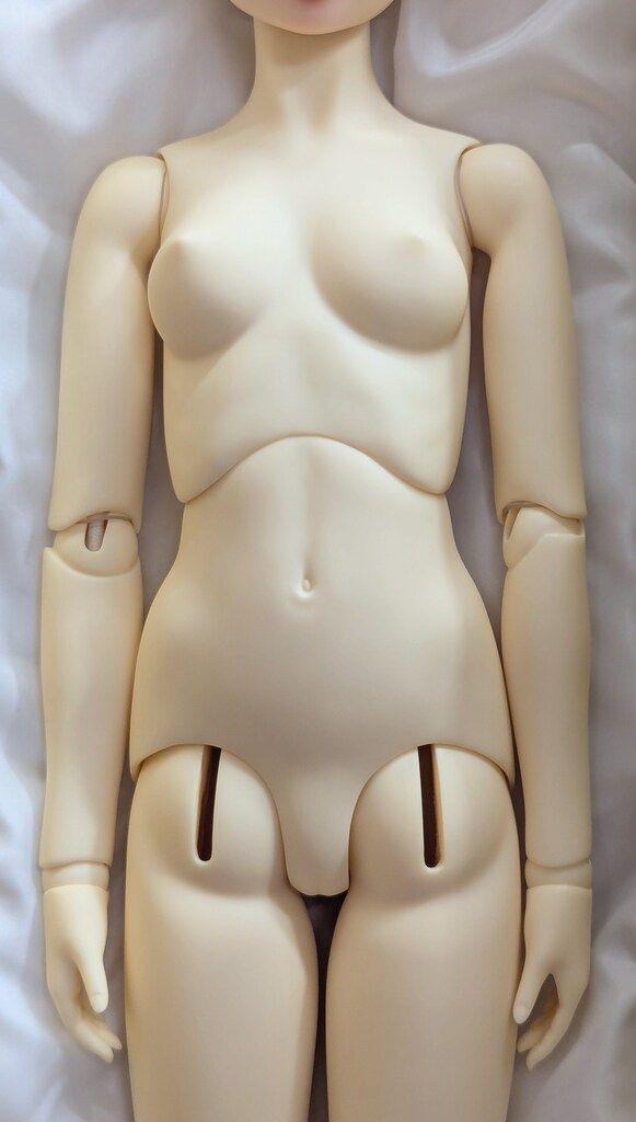 ワンオフモデル 荒夜