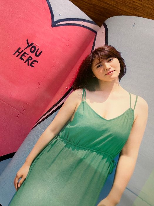 磯山さやか写真集 holiday/磯山さやか,矢西誠二 広かっ