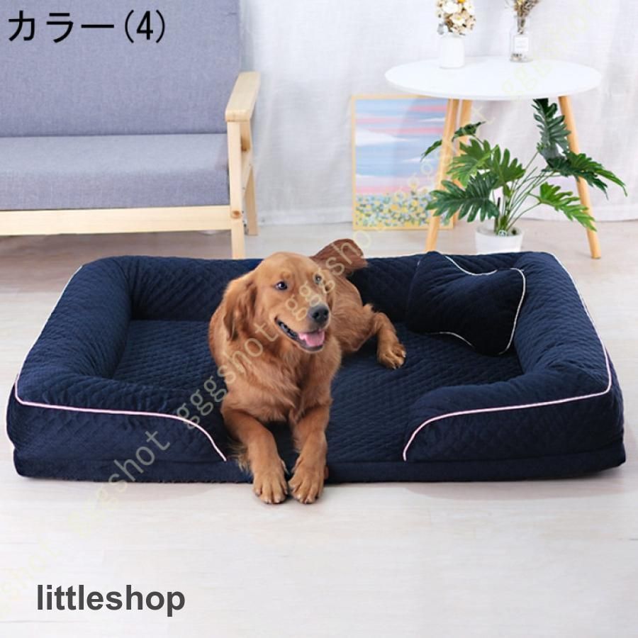 犬 ペット