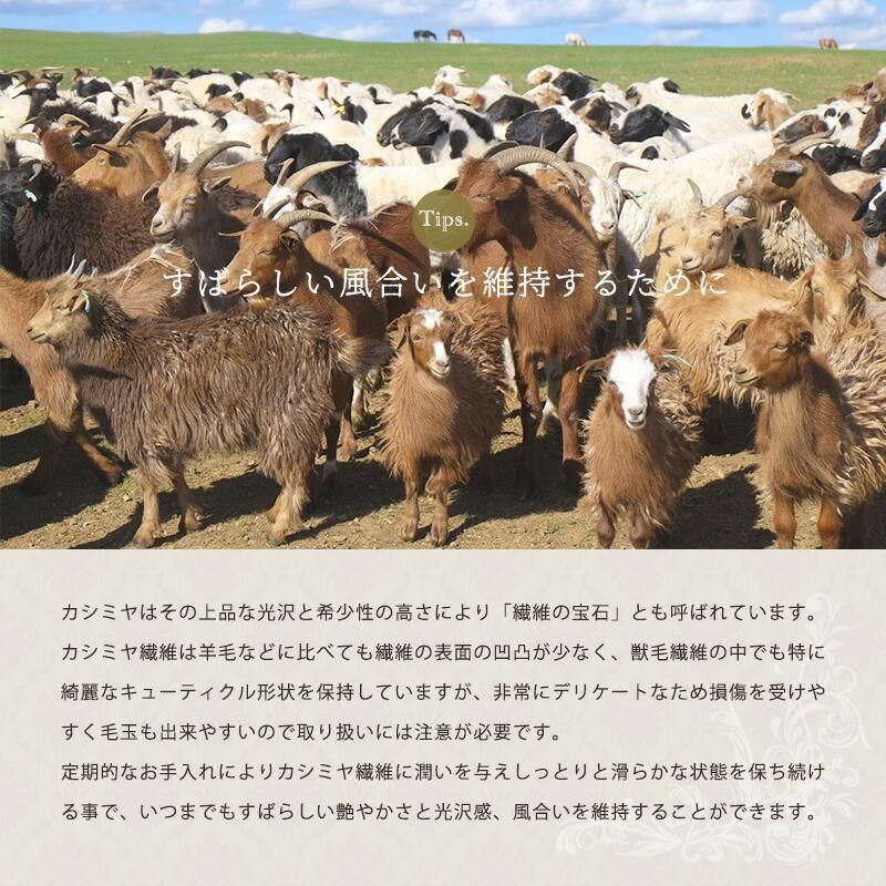 インナーケット