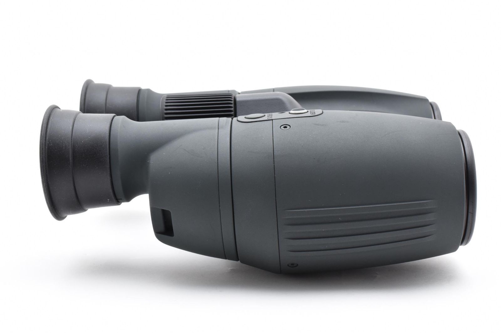 コンサート 野鳥観察