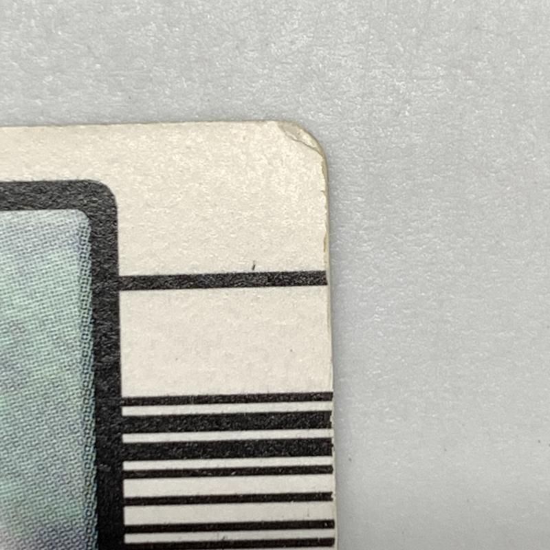 PSA10 タランドゥスツヤクワガタ 2004 ファースト Amazon.co.jp