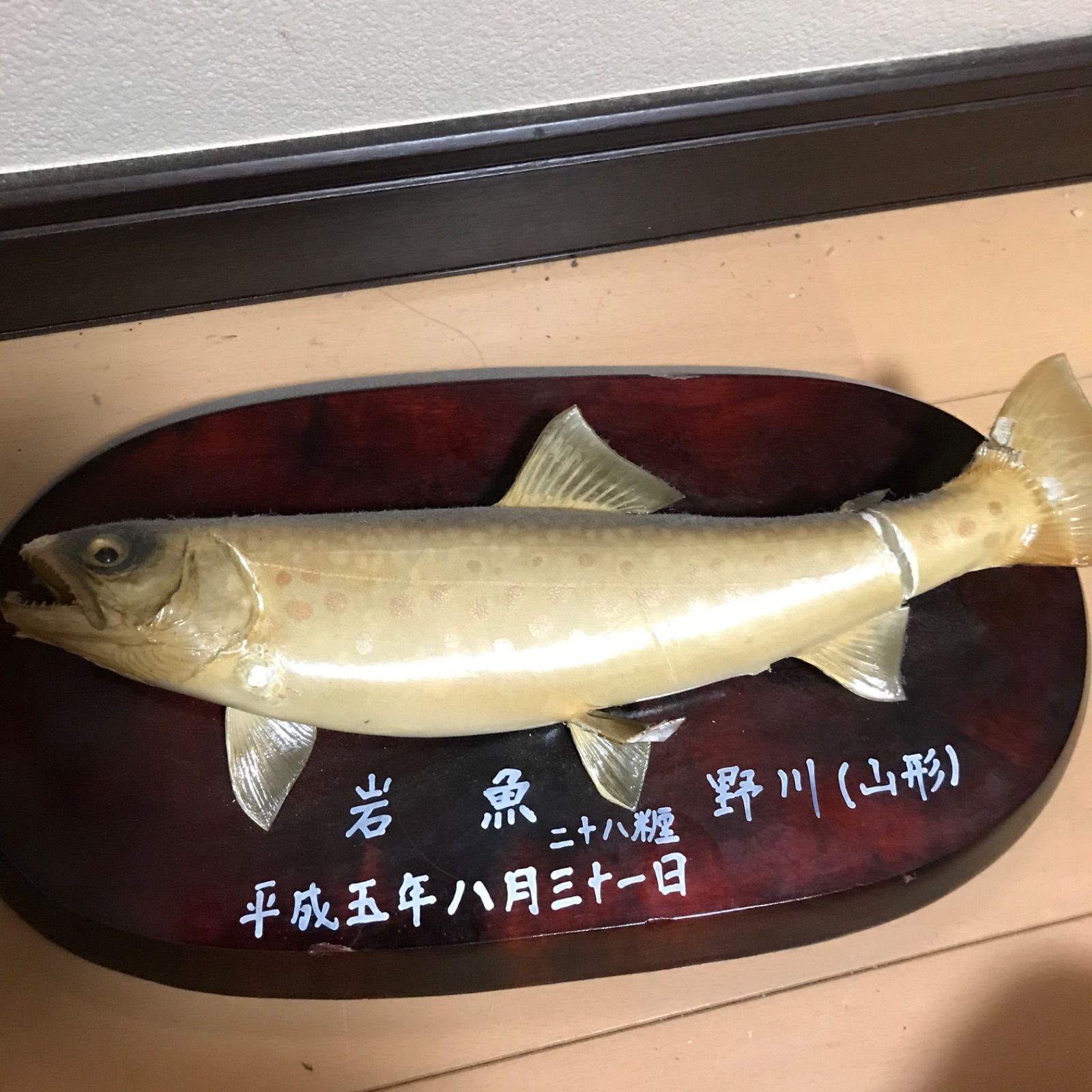 岩魚の剥製 - メルカリ