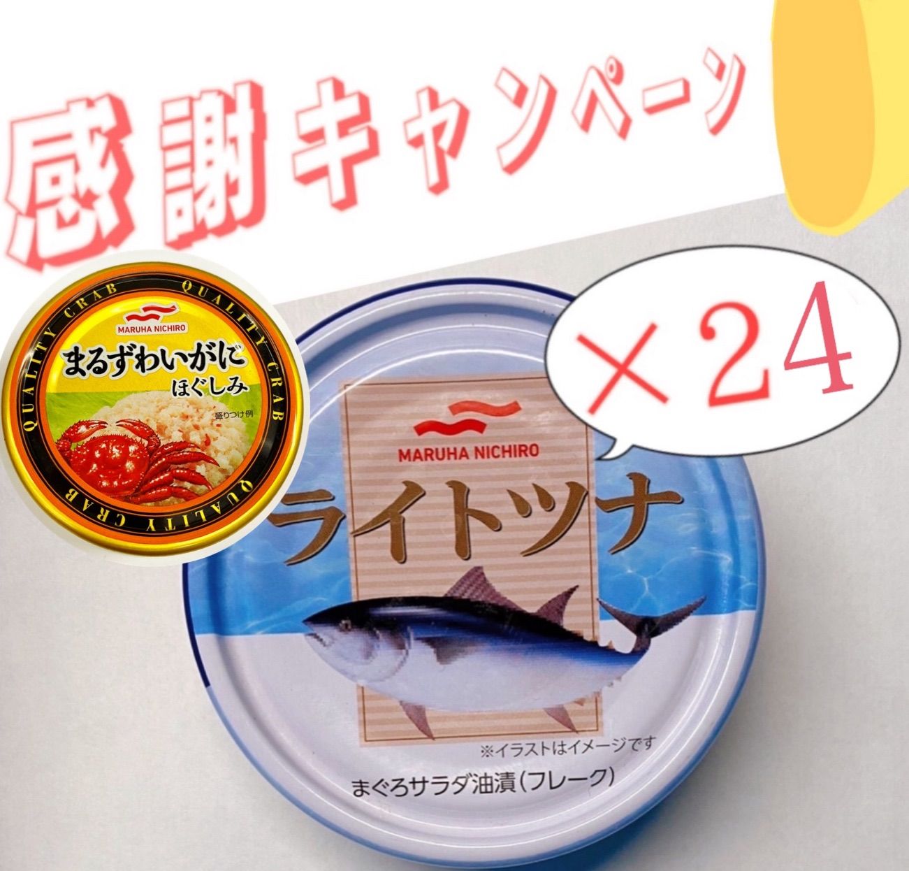 【ツナ缶24缶＋カニ缶1缶おまけ付き】-0