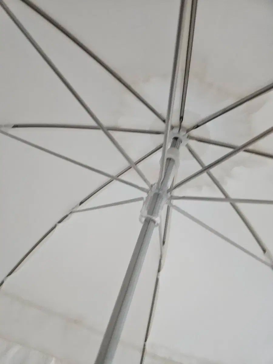 ベイビー ザ スターシャイン ブライト 日傘 正規品 WWW_SMP1DAWEKUDUS_SCH_ID