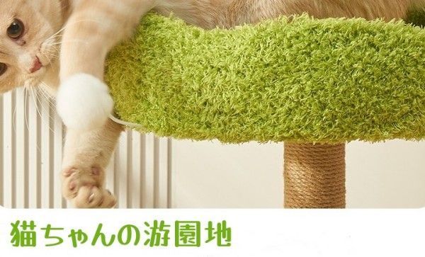 爪とぎ