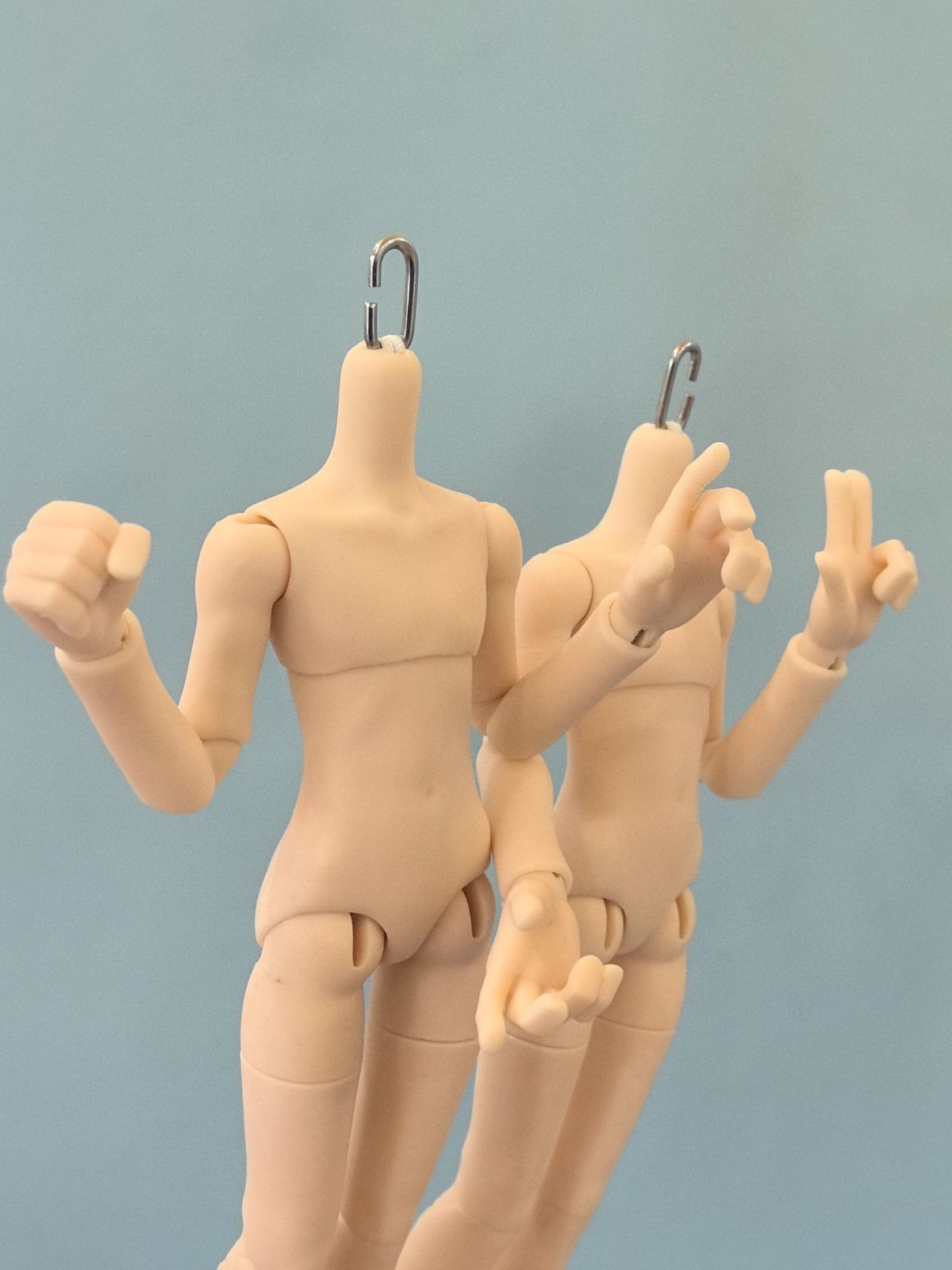 予約 ボディのみ