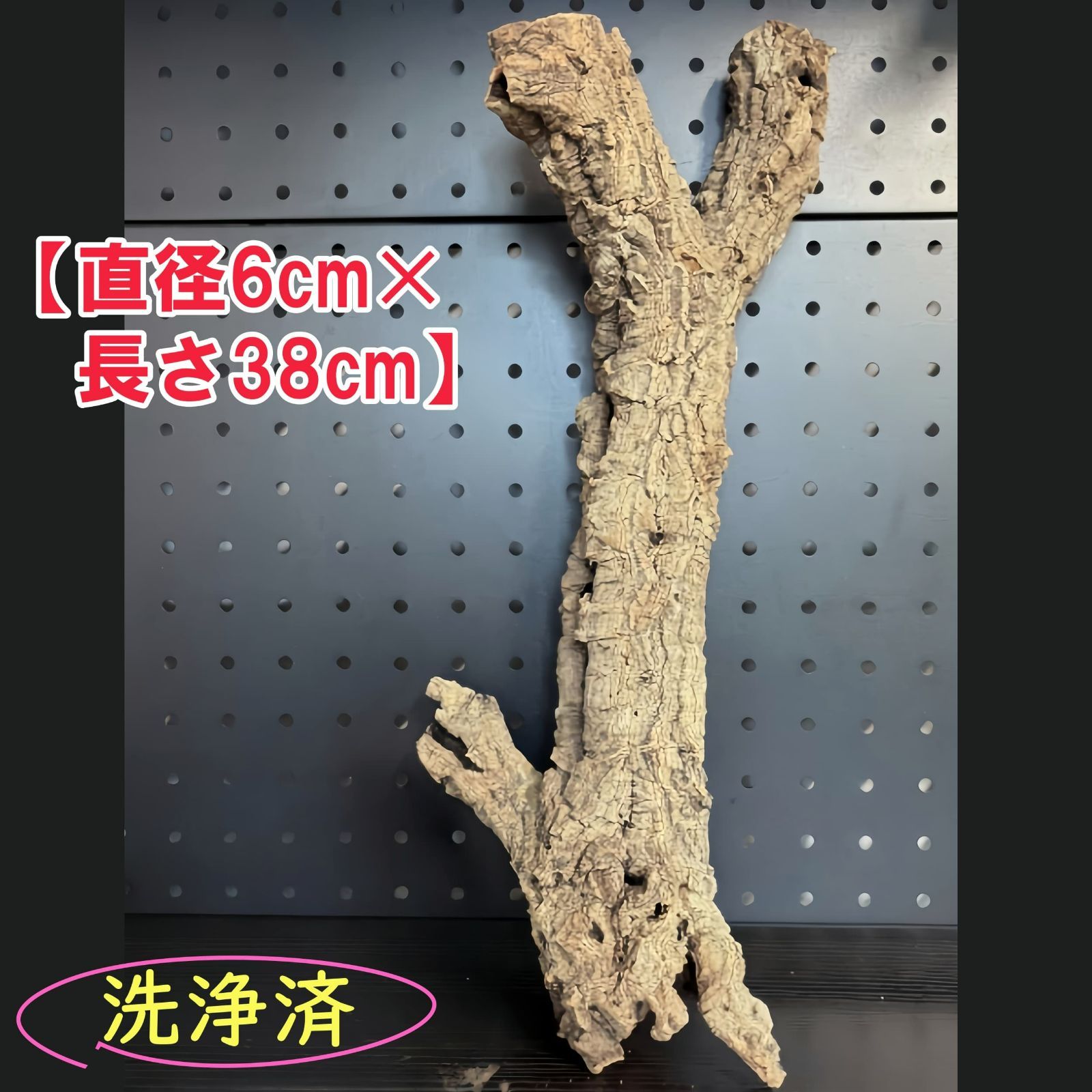 250819 ポルトガル産 キャノンコルク コルク樹皮 コルク板 バージン