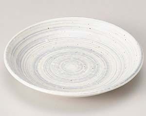 有田焼 手描き染付花絵絵リム皿2枚 TS0922 有田焼】飾絵皿 色絵桜図