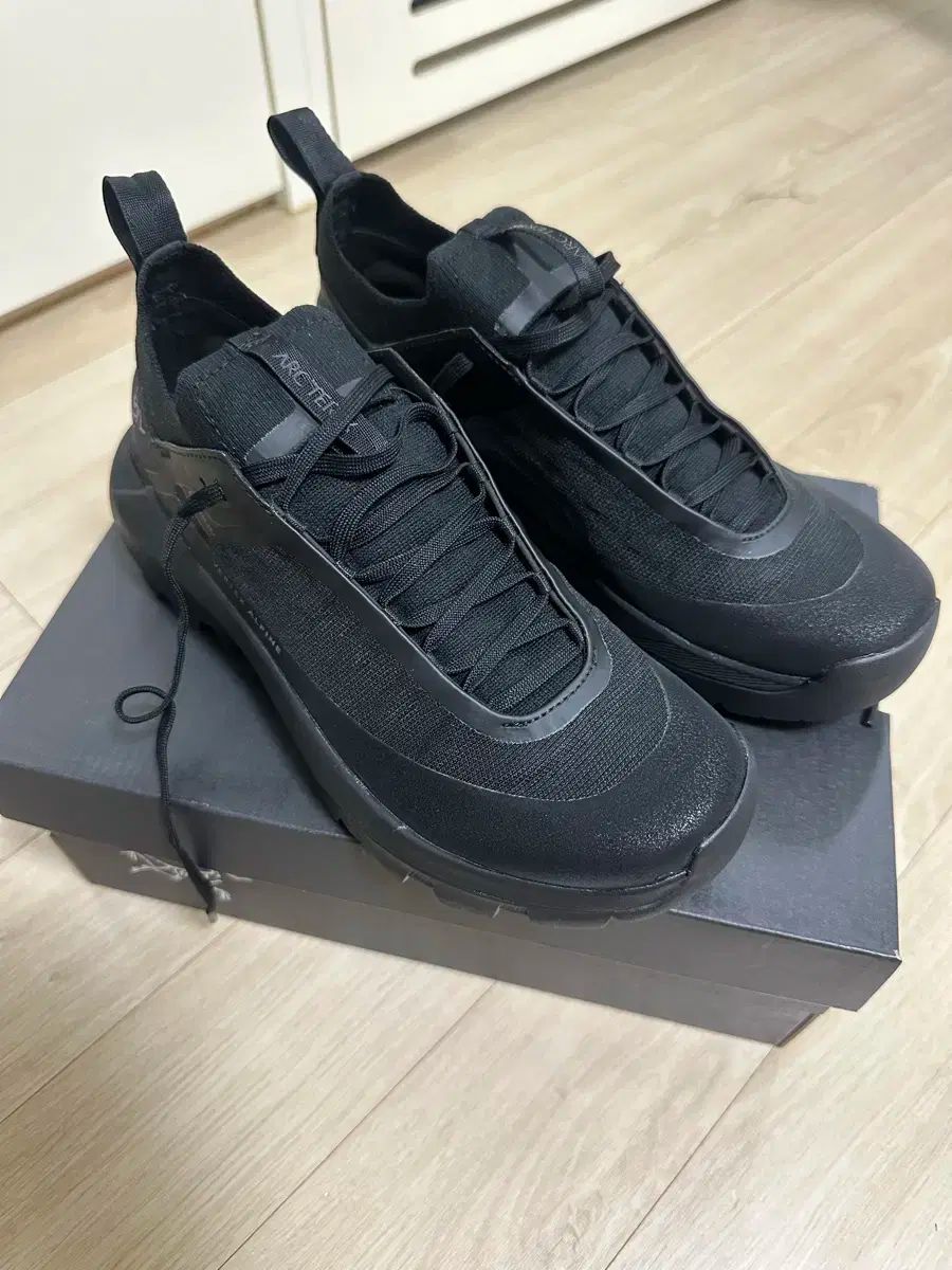 ARC TERYX アークテリクス バーテックス アルパイン ブラック w250サイズ