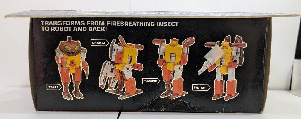 G1 TF|G1