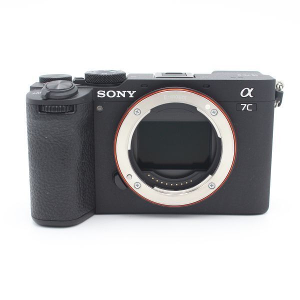 ショット数3924枚！□ほぼ新品□ SONY ミラーレス一眼カメラ