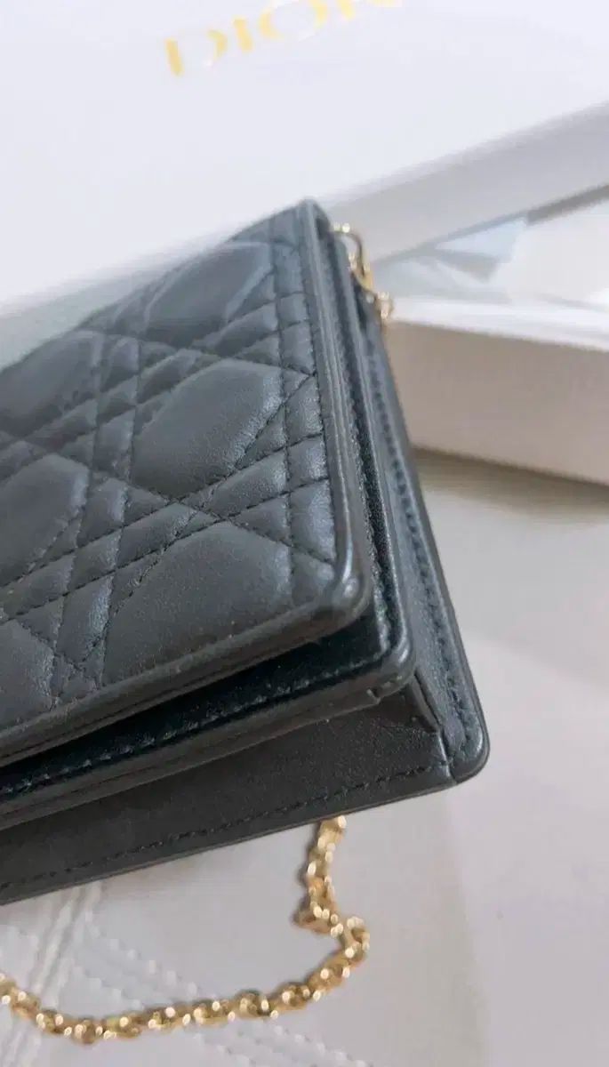 レディディオール