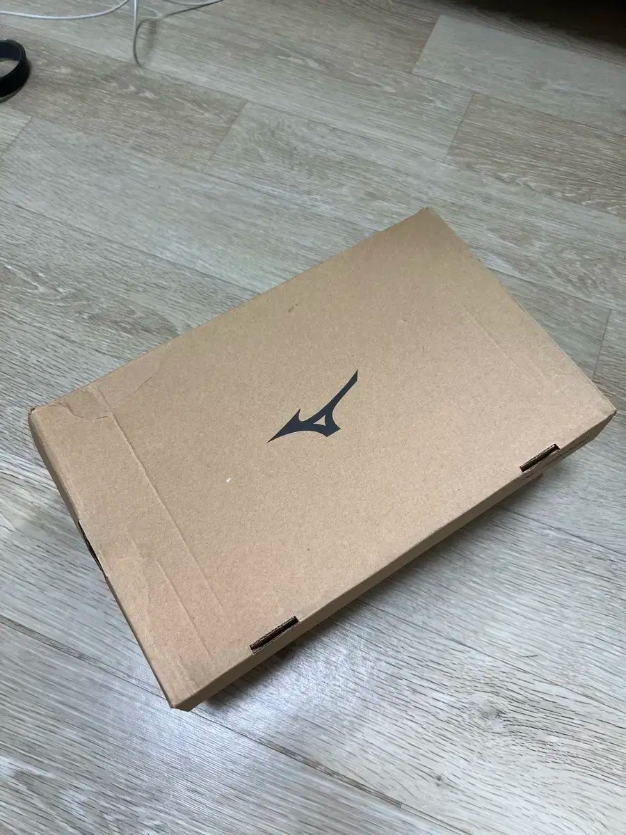 ミズノ バレーボールシューズ