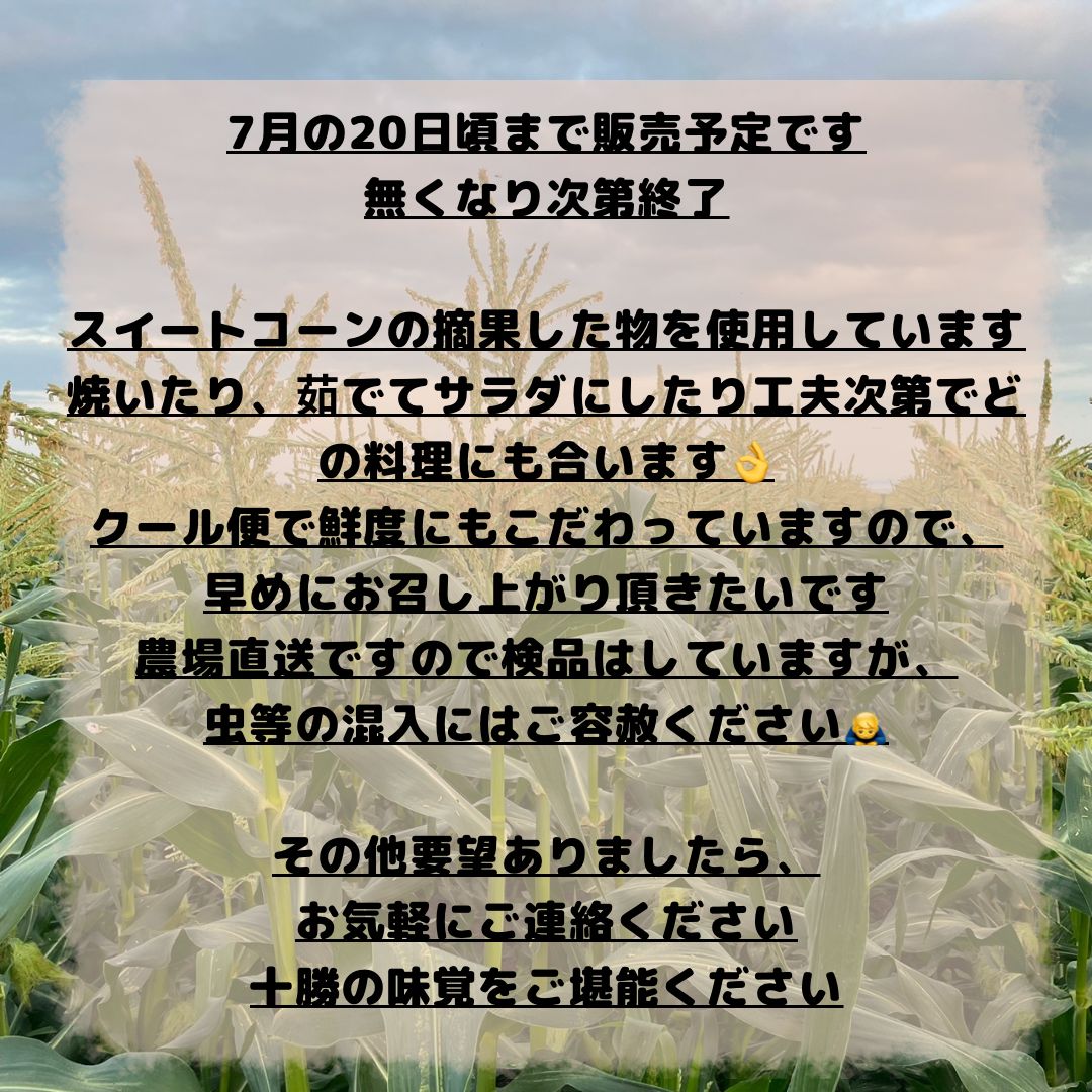 北海道 十勝産 ヤングコーン 50本〜60本 - メルカリ