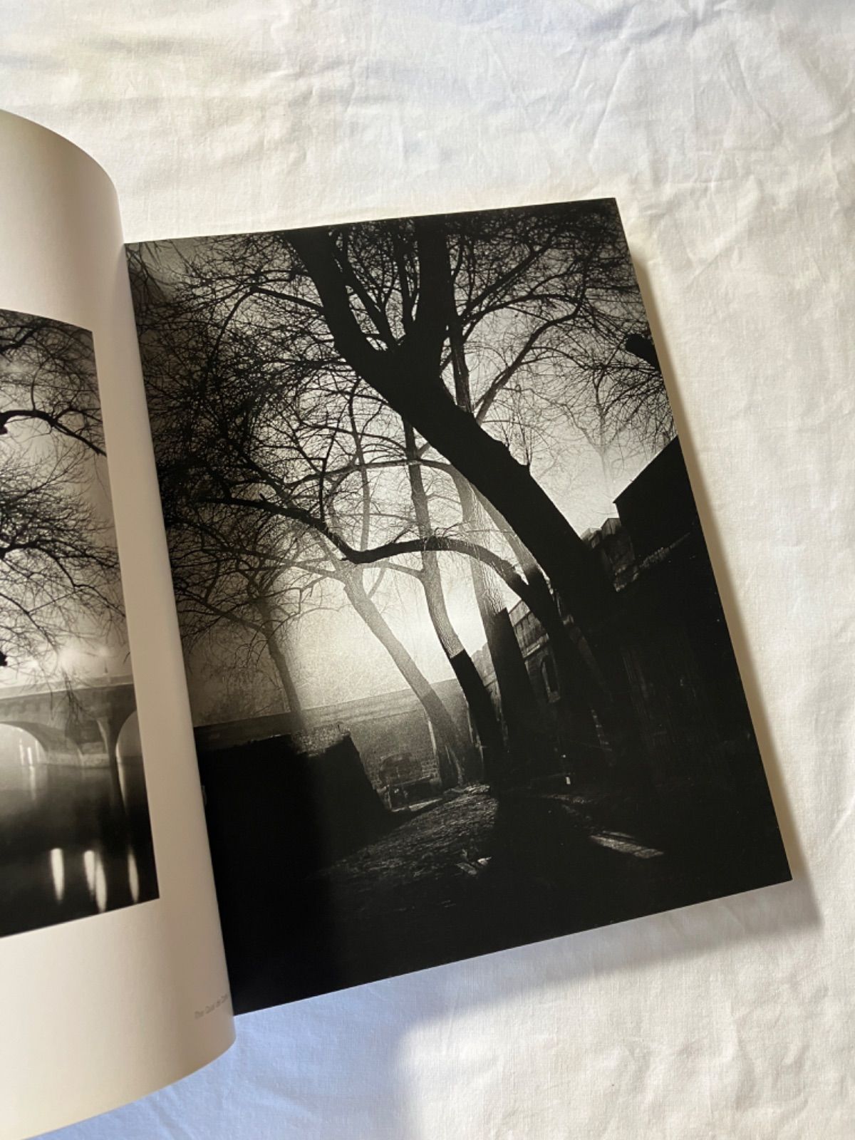 Brassaai ブラッサイ 「非凡なる眼」写真集 Brassaai ブラッサイ 「非凡なる眼」写真集 - メルカリ
