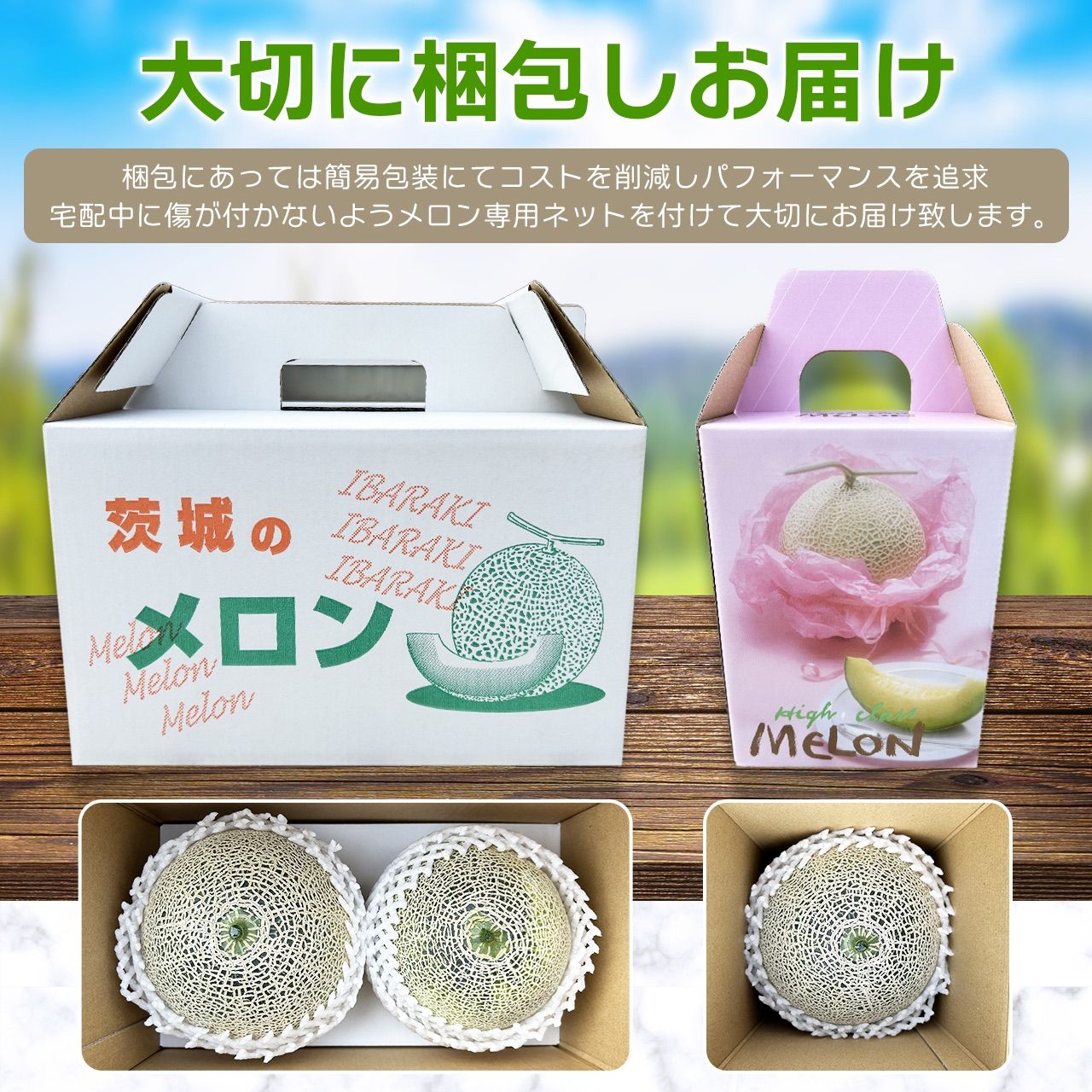 高糖度 クインシーメロン