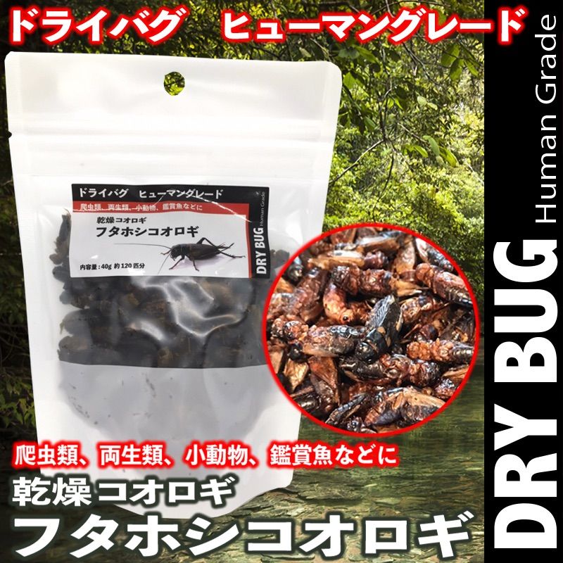 ☆ドライバグ 乾燥コオロギ【フタホシコオロギ】両生類 爬虫類 小動物