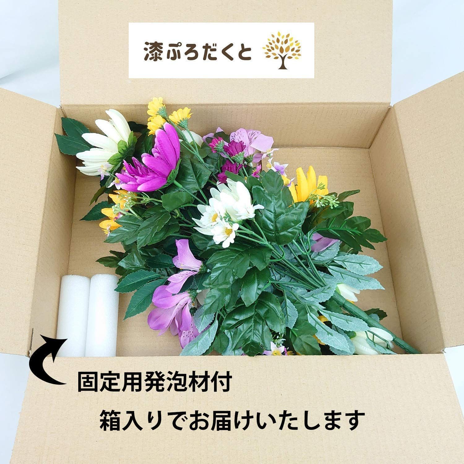 プルメリア 'マヤ' バリエガータ まとめ プルメリアの種、苗、肥料