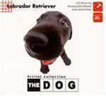【中古】(非常に良い)THE DOG ~ LabradorRetriver