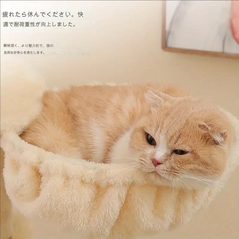 爪とぎ