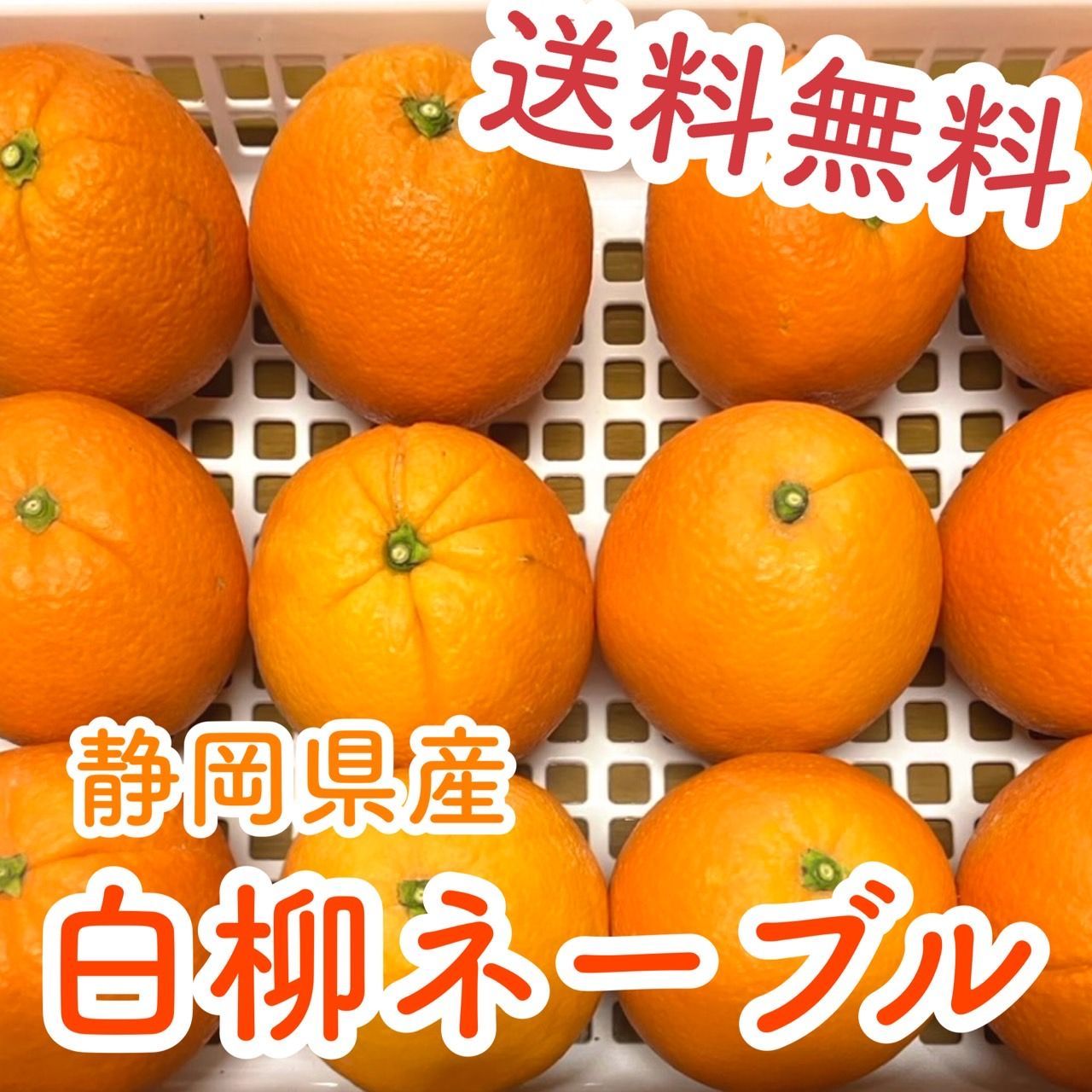静岡県産 白柳ネーブル② - メルカリ
