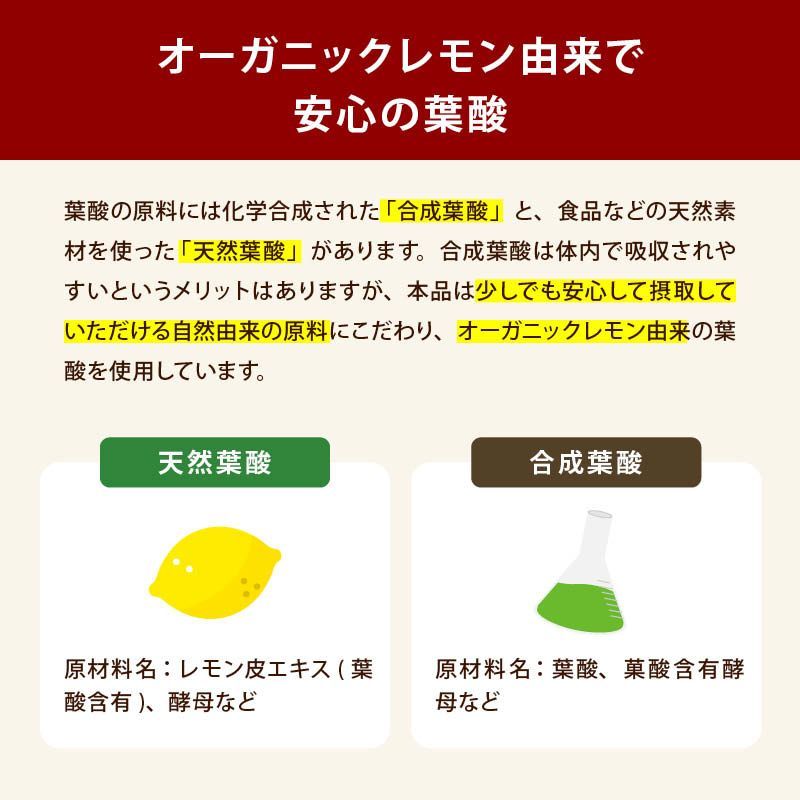 乳酸菌