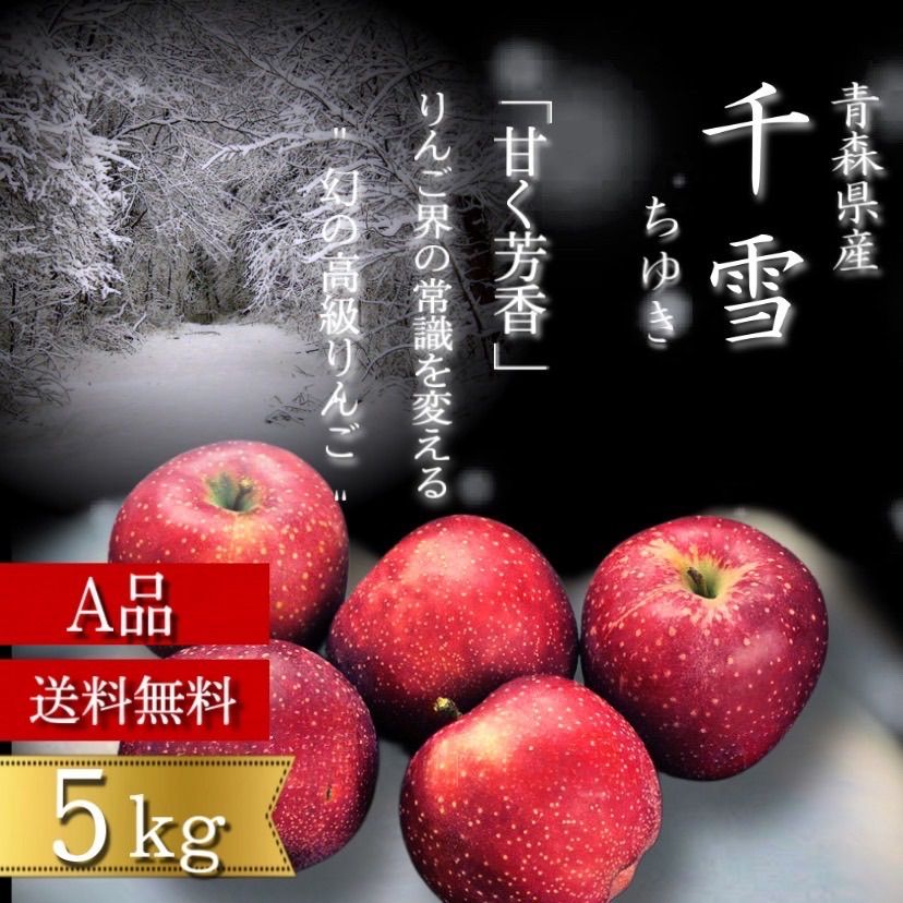 青森県産 千雪 りんご【A品5kg】【送料無料】【農家直送】リンゴ サンふじ-0