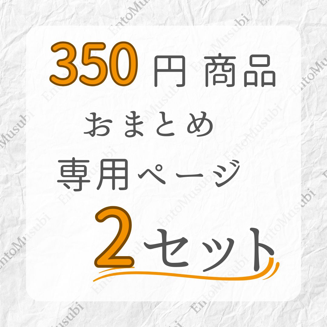 ２点おまとめ専用ページ 350円商品2点セット｜おまとめ割引専用ページ｜合計650円でご案内中