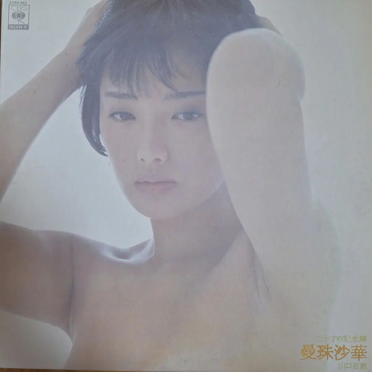 収益クラス/ Momoe Yamaguchi ー 満州酒 LP