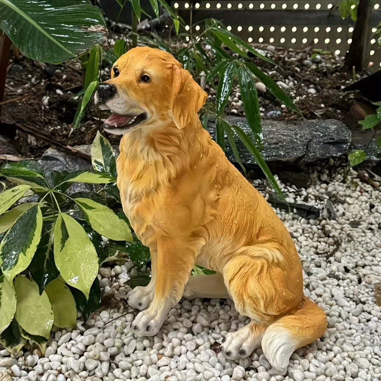 犬
