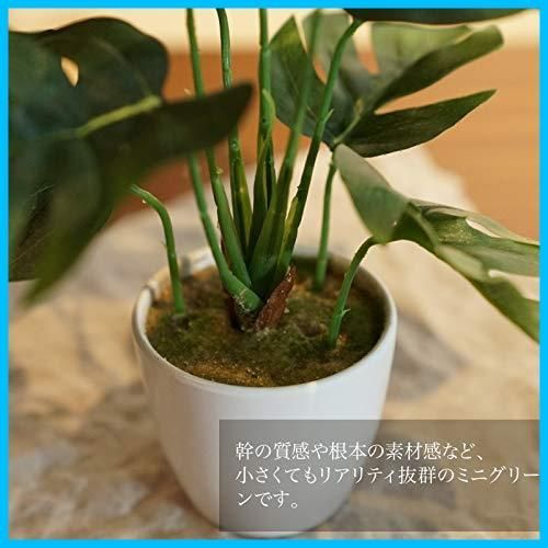 ミニ モンステラ フェイクグリーン ポット Story MH-1003 Flower 高さ23 cm 神戸花物語 Kobe