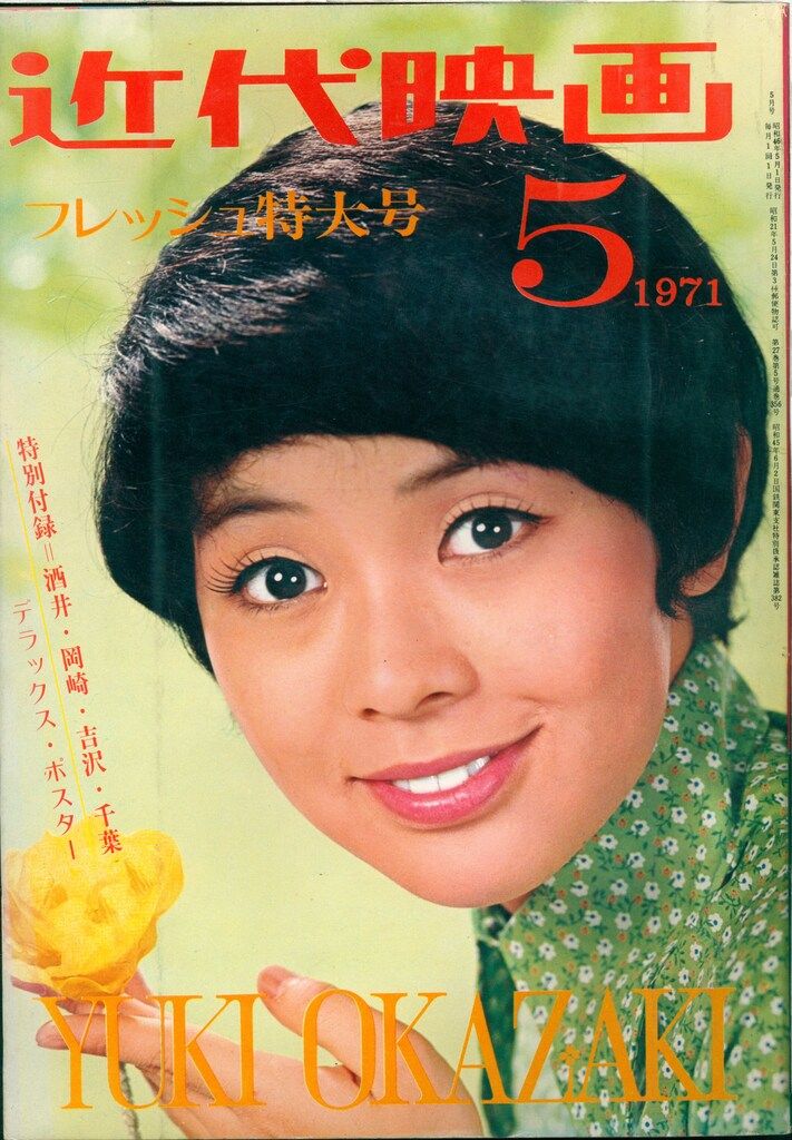 実際に使用】京浜急行 方向幕（種別幕）一本物 京急 側面種別用