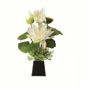 ロータス すい蓮灯 白 YMG6426